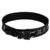 Bison Belt - comprar online