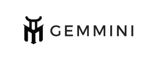 Gemmini Store