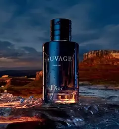 Sauvage Eau de parfum 100ML - Dksl Store