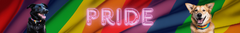 Banner de la categoría Pride