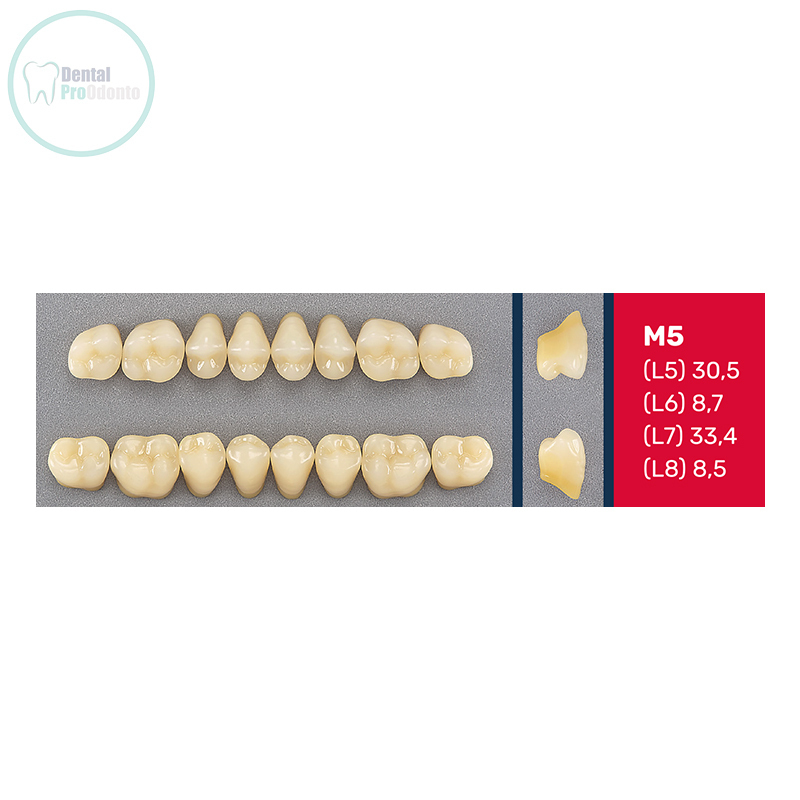 DENTE EVOTRI M5 POSTERIOR INFERIOR - EVODEN