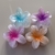 Broche Flor Hawaiana Mini Celeste - tienda online