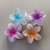 Broche Flor Hawaiana Mini Rosa - tienda online