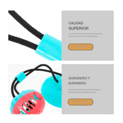 Juguete interactivo - Bola con ventosa incorporada - tienda online