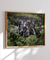 Cachoeira Chapada - Quadro Decorativo