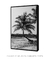 Coqueiro - Bahia - Quadro Decorativo - comprar online