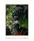 Ganesha - Quadro Decorativo - comprar online