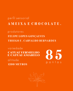 Café Especial Ameixa e Chocolate 250g - comprar online