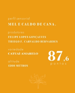 Café Especial Melaço 250g - comprar online