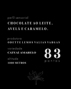 Café Especial Chocolate e Avelã 250g - comprar online