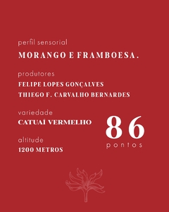 Café Especial Frutas Vermelhas 250g - comprar online