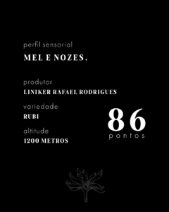 Café Especial Mel e Nozes 250g - comprar online