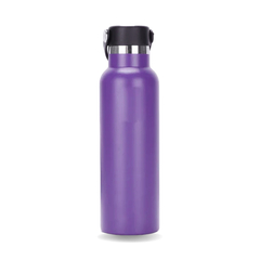 Garrafa Térmica Inox Tampa Alça Esporte Academia 500ml na internet