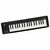 Teclado controlador Korg microKEY2-37