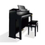 Piano Hibrido Casio Celviano GP-300 BK - comprar online