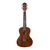 Ukulele Kalani KAL 200 - soprano com capa na internet