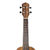 Ukulele Kalani KAL 330 CK - koa concert com capa - comprar online