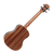 Ukulele Seizi Maui PLus Tenor Sapele - elétrico - comprar online