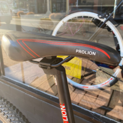 BICICLETA PROLION KING RODADO 29 21V SHIMANO - tienda online