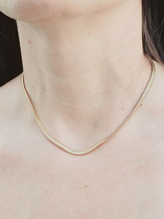 Corrente Choker Salamandra (escolher por tamanho) - comprar online