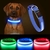 Collar para Mascotas con Luz Led Adonai™ -Celeste - comprar online