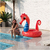 Inflable Caballito de Mar Rojo 150cm x 120cm Adonai™ en internet