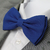 Gravata Borboleta Azul Royal Adulto Ba32
