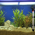 Imagem do Termostato com Aquecedor Ace Pet de 150w para aquários de 130 a 150 litros
