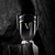 Invictus Victory Paco Rabanne Eau de Parfum