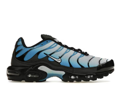 Air Max Plus Tn Blue Gradient