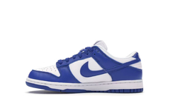 Nike Dunk Low “ Kentucky” na internet