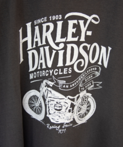 Man Remera Harley Gris oscuro 619GO - tienda online