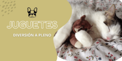 Banner de la categoría JUGUETES