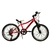 .R20 MTB *FIREBIRD* 7 VEL FRENO DISCO TRASERO, VARIOS, .