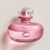 Love Lily Eau de Parfum válvula, 75ml - O Boticário na internet