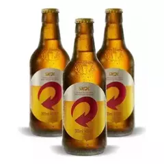 Cerveja Skol 300 retornavel - 24 unidades retornavel - comprar online