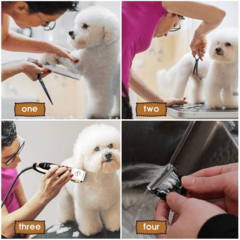 Corta Pelo para Mascotas Grooming - comprar online