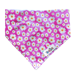 Coleira Bandana - Pink Daisy - comprar online