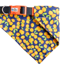 Coleira Bandana - Citrus - comprar online