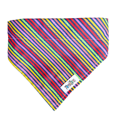 Coleira Bandana - Colorful na internet