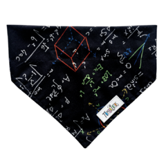 Coleira Bandana - AUbert Einstein - comprar online