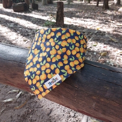 Coleira Bandana - Citrus - Lojista Tombalatas