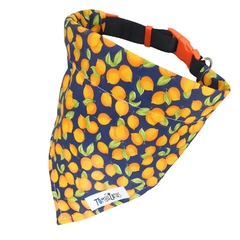 Coleira Bandana - Citrus