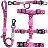 Kit Passeio Tombalatas - Neon Pink