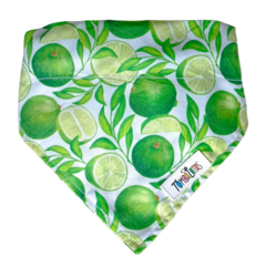 Coleira Bandana - Lemonade - comprar online