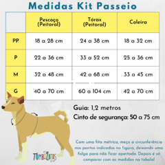 Kit Passeio Tombalatas - Amazônia - comprar online