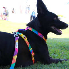 Imagem do Kit Passeio Tombalatas - Fiesta