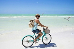 Image of Full-Day Holbox Plus Tour w/ Cenote & Lunch