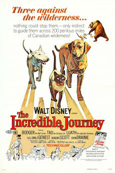 1963 A Incriveel Jornada (The Incredible Journey) - Disney (Legendado) - Na Escolha de 10 filmes ou desenhos, o Pen-Drive será grátis...Aproveite!