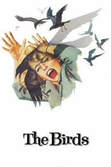 1963 Os Passaros (The Birds) (Legendado) - Na Escolha de 10 filmes ou desenhos, o Pen-Drive será grátis...Aproveite!